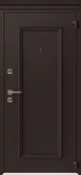 Купить межкомнатную дверь AG6003 8019 в СПб
