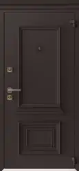 Купить межкомнатную дверь AG6016 8019 в СПб