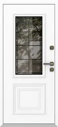 Купить межкомнатную дверь AG6156 8019 в СПб